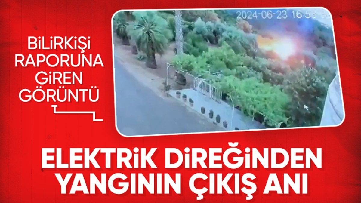 Mardin’de yangına elektrik hattının neden olduğu ortaya çıktı